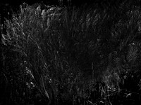 010617-214-5