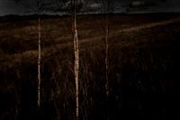 100114-543