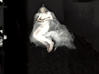 250317-1-4