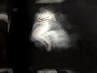250317-1-17