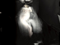 250317-1-1