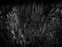 010617-214-9