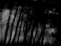160416-92-Edit-2