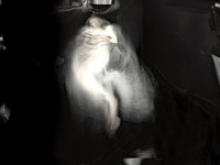 250317-1-7