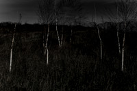 100114-143