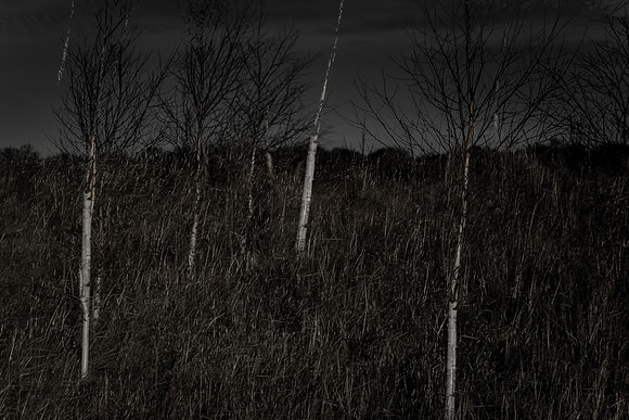100114-127