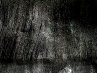 200717-1-6