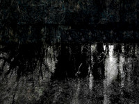 280817-2-1