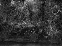 031216-2-5