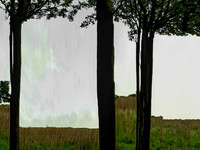 211016-1-5