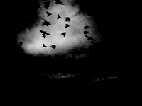 LEAVING