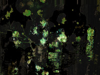 3012202_50780298661_o