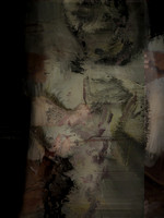 2712201_50767216391_o