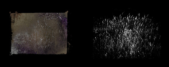 SHADOW-7