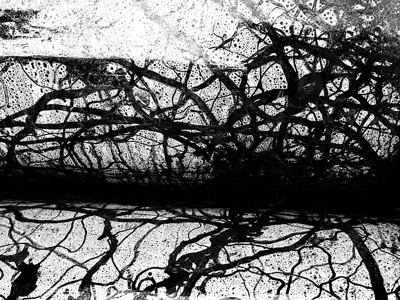 4-64