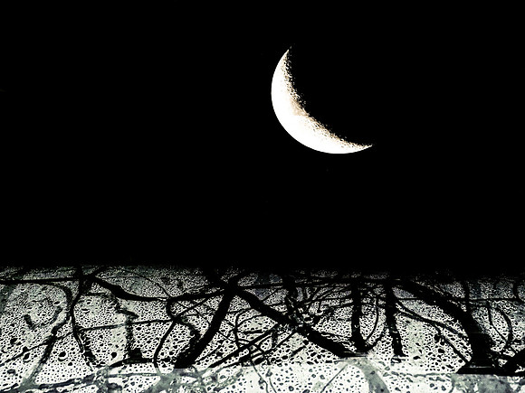 13-64