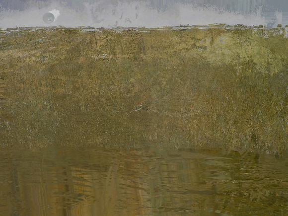 IMG_7824