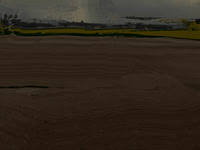 IMG_1520