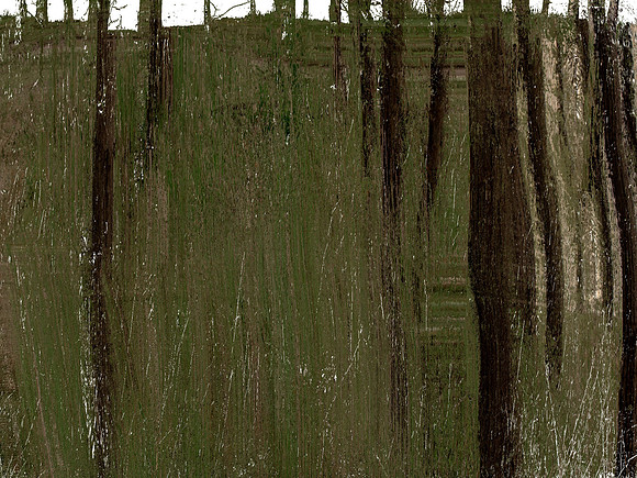 IMG_7272