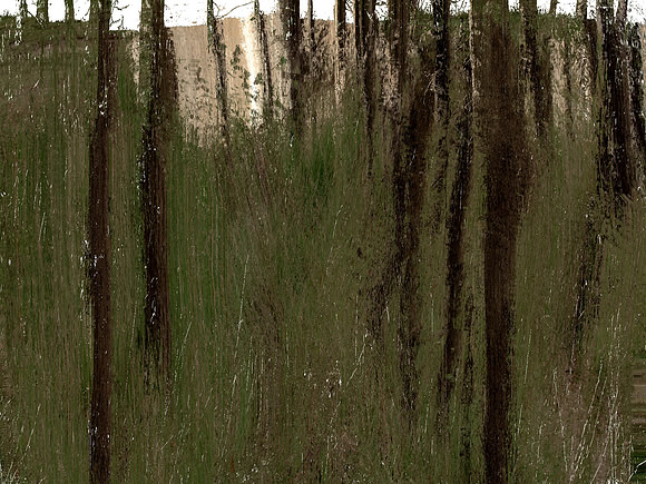 IMG_7273