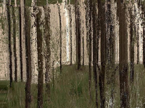 IMG_7425
