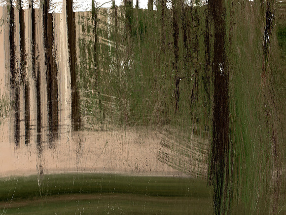 IMG_7444