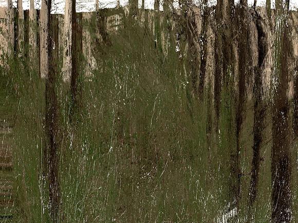 IMG_7533