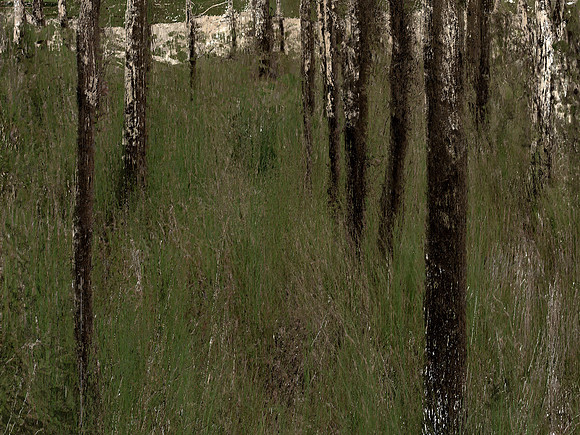 IMG_7427