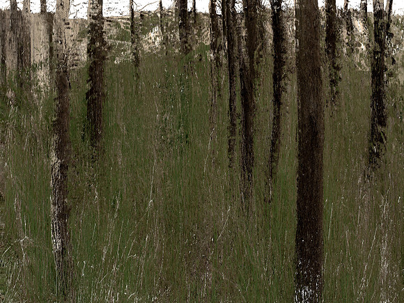 IMG_7432