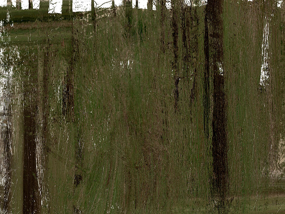 IMG_7443