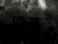 IMG_6244