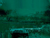 IMG_3138