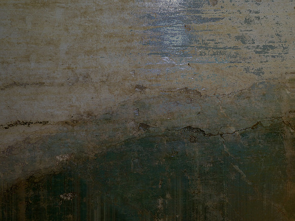 IMG_4981