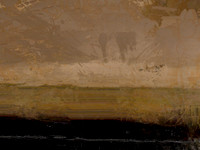 IMG_6613