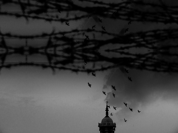 india 2015