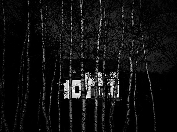 poland 2009