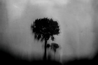27-05-08- 1027