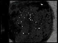 2-249