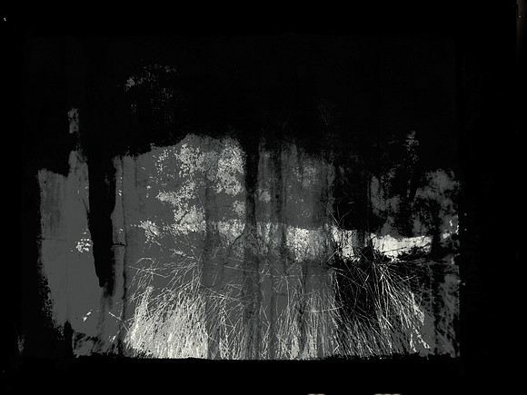 1-81