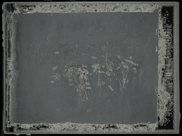 11-29