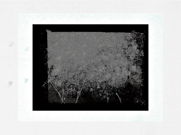 9-61