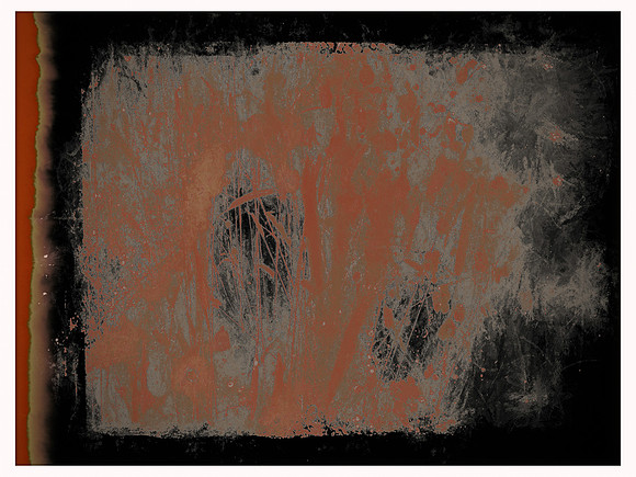 11-81