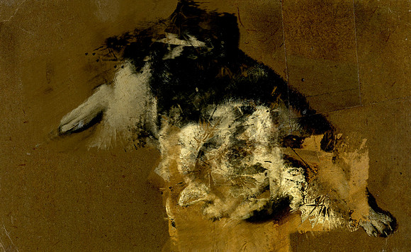 07-22