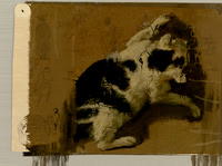 02-15