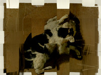 02-11