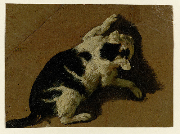 02-1