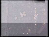1-11
