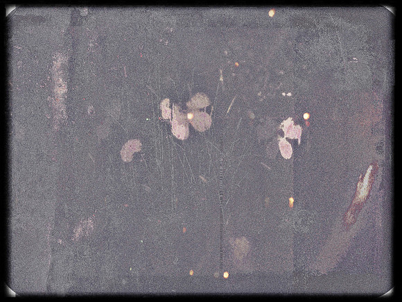 1-64