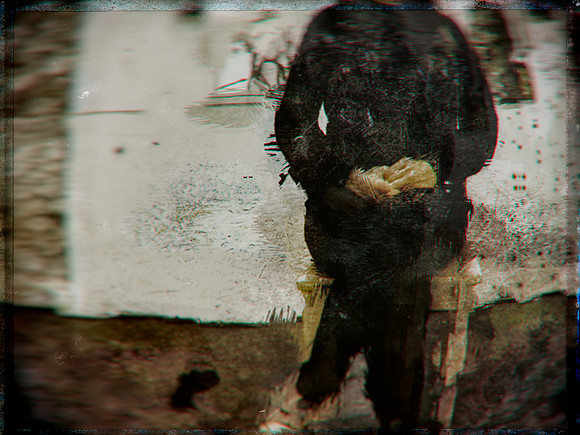 1-241