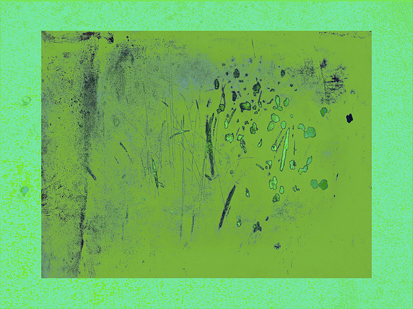8-19